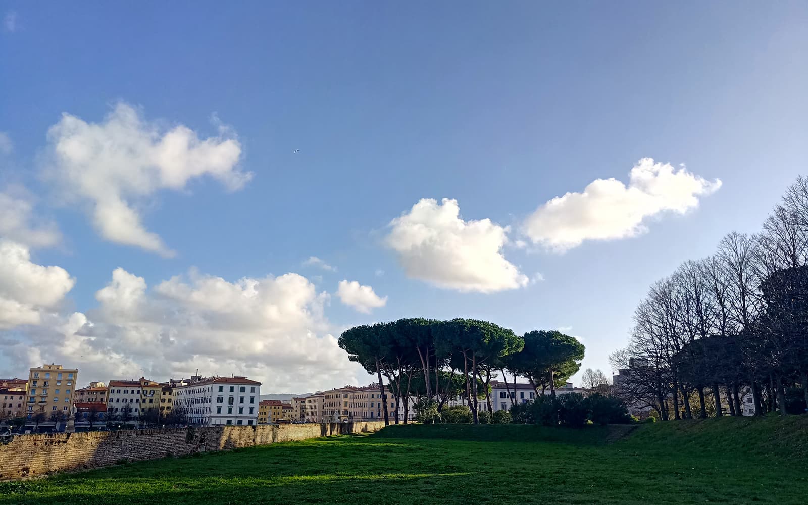 Il cielo, gli alberi, la città